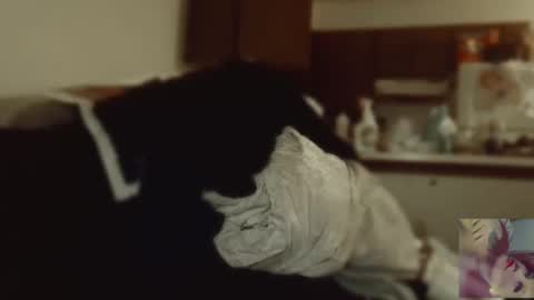 Exoticlexxii online show from September 9, 8:08 pm