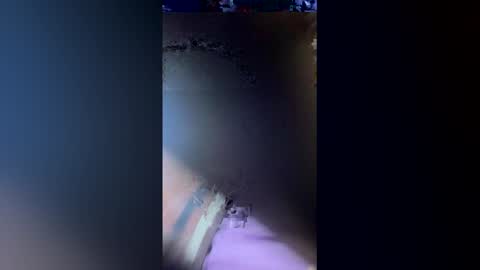 exotico202720 online show from May 31, 3:26 am