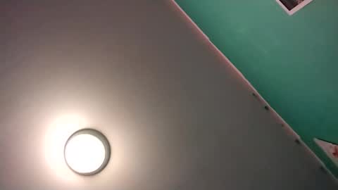 experttreecompany online show from February 16, 8:43 am