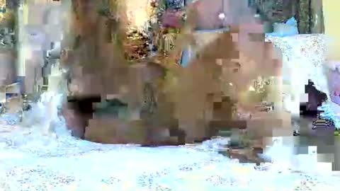 explicitly_certified online show from March 3, 7:49 pm