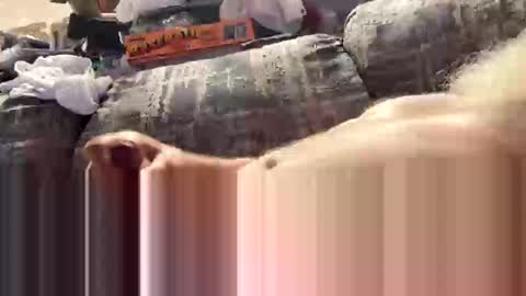 exploreyou online show from March 8, 3:10 am