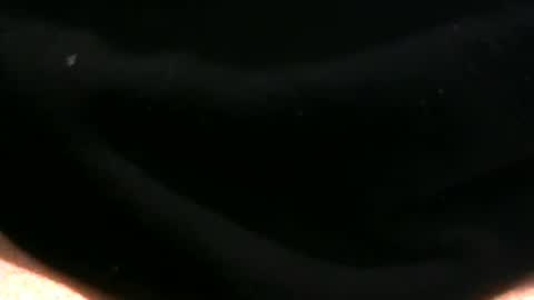 JC online show from December 21, 7:59 am