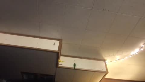 Snapshot of faexoxoxo chatting on March 12, 6:40 am Fae online show from March 12, 6:40 am