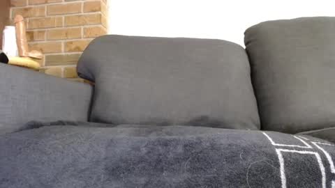 Snapshot of fafnir1278 chatting on January 20, 6:10 am fafnir1278 online show from January 20, 6:10 am