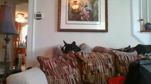 fairmount31 online show from February 19, 7:16 pm