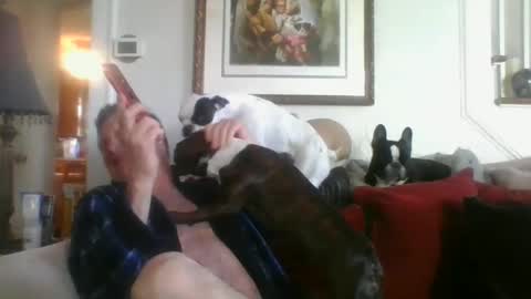 fairmount31 online show from March 3, 2:15 pm