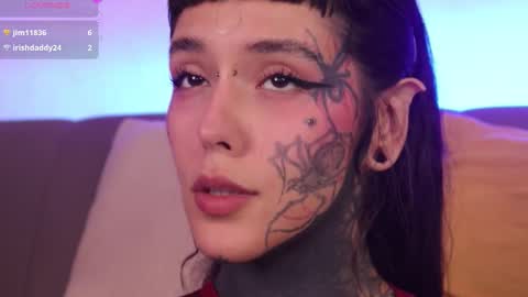 Fairy online show from November 7, 7:47 pm