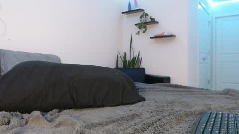 Snapshot of fallonxgray chatting on March 8, 11:28 pm Fallon Gray online show from March 8, 11:28 pm