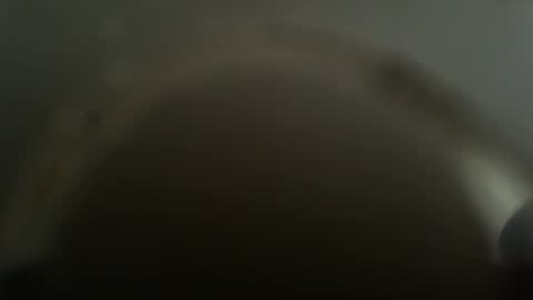 falushp online show from February 26, 11:52 am