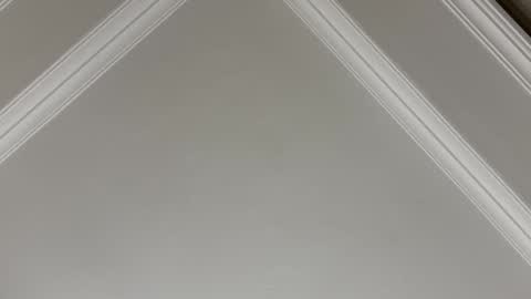 famsea online show from November 10, 1:48 am