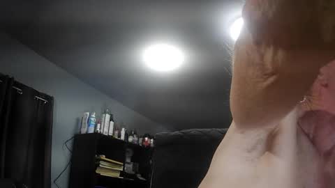 fantasyresort online show from November 9, 4:11 am