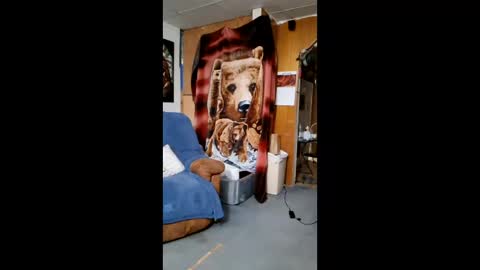 Scarlett online show from February 10, 7:23 am