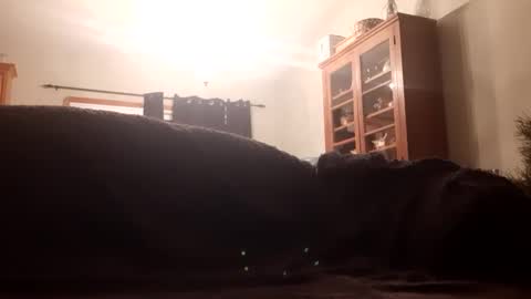 Farm2boy online show from January 11, 2:09 am