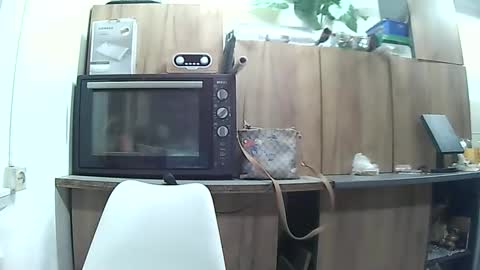 hausewife online show from May 6, 7:41 pm