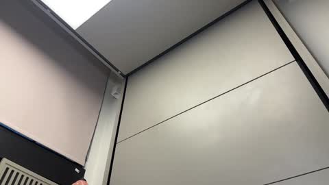 Snapshot of faseremx chatting on December 3, 8:16 am Gattino online show from December 3, 8:16 am