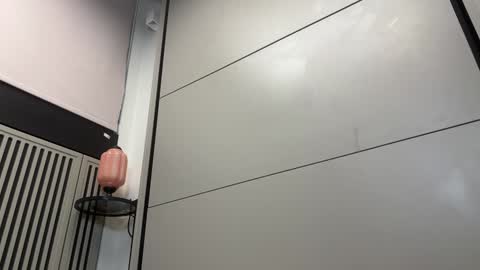 Snapshot of faseremx chatting on December 13, 12:06 pm Gattino online show from December 13, 12:06 pm