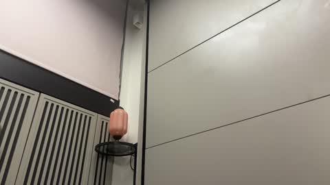 Snapshot of faseremx chatting on December 20, 11:37 pm Gattino online show from December 20, 11:37 pm