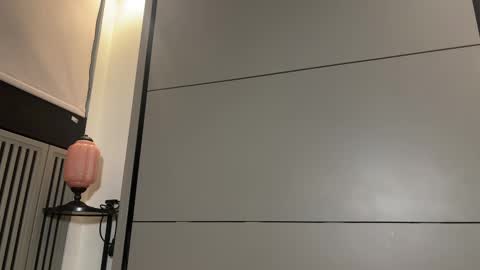 Snapshot of faseremx chatting on March 8, 7:31 pm Gattino online show from March 8, 7:31 pm