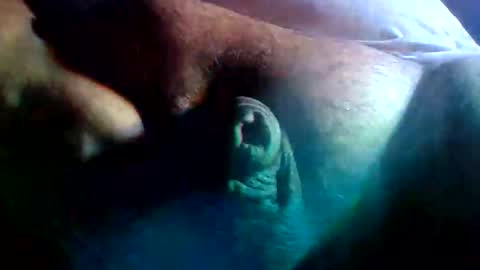 thiccDaddy online show from February 9, 7:23 am