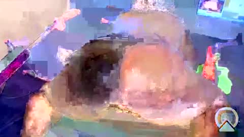 Snapshot of fatpussy348 chatting on January 4, 5:58 am i like my pussy been toture online show from January 4, 5:58 am