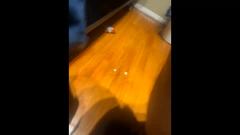 Snapshot of fatz71056 chatting on October 16, 10:16 am fatz71056 online show from October 16, 10:16 am