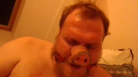 Horny Fat Boy online show from June 20, 1:30 am