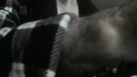 Snapshot of feardubh chatting on October 31, 9:43 am feardubh online show from October 31, 9:43 am