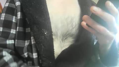 Snapshot of feardubh chatting on February 20, 11:43 am feardubh online show from February 20, 11:43 am