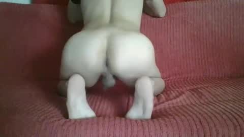 Snapshot of femboyhot28 chatting on November 9, 3:05 am femboyhot28 online show from November 9, 3:05 am