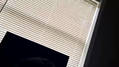 Snapshot of fer28639 chatting on September 24, 6:00 pm fer28639 online show from September 24, 6:00 pm