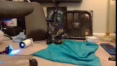 FE fee online show from October 6, 6:00 am