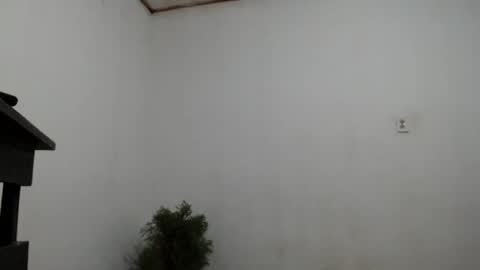 Snapshot of fernandez_latinblack chatting on December 2, 4:20 am fernandez_latinblack online show from December 2, 4:20 am