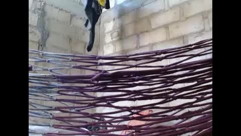 Snapshot of fernandez_latinblack chatting on October 1, 2:12 pm fernandez_latinblack online show from October 1, 2:12 pm