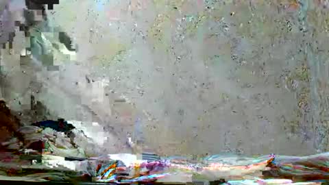 Snapshot of fernandez_latinblack chatting on November 18, 10:31 am fernandez_latinblack online show from November 18, 10:31 am