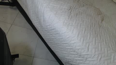 Snapshot of ferphoenix_ chatting on February 1, 9:43 am FER PHOENIX online show from February 1, 9:43 am