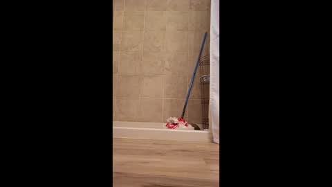 fetishdad863 online show from April 22, 2:18 pm