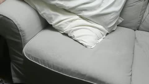 Fid online show from November 16, 9:48 am