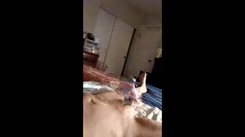 figaro62026 online show from April 27, 10:35 am