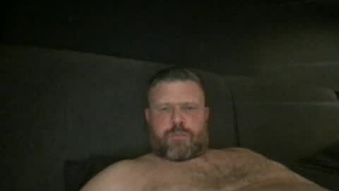 Snapshot of fin_dom_bear chatting on May 4, 12:06 am fin bear dom online show from May 4, 12:06 am