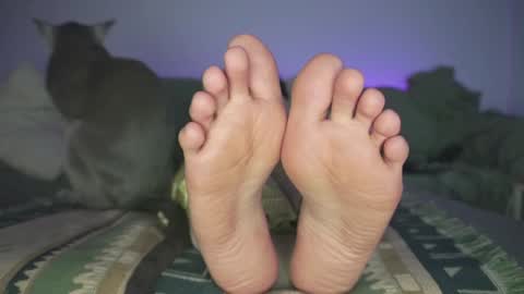 Snapshot of findomfeet_ chatting on December 19, 12:02 am Ashley online show from December 19, 12:02 am