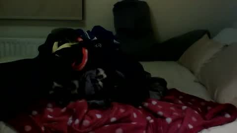 Snapshot of fitbut chatting on January 30, 7:48 pm Fitbut online show from January 30, 7:48 pm