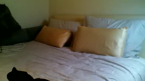 Snapshot of fitbut chatting on September 15, 7:03 pm Fitbut online show from September 15, 7:03 pm