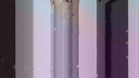 fitchestabs_69 online show from April 14, 9:43 pm