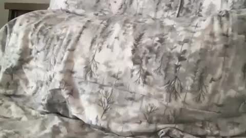 FitCollegeStudxx online show from February 17, 7:21 pm