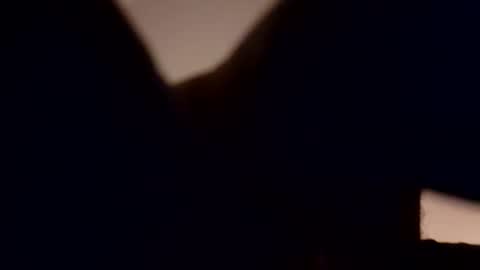 Nate online show from September 15, 12:43 am