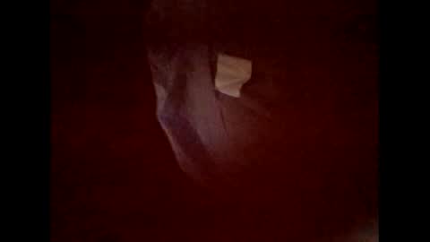 Snapshot of flexngudlit chatting on March 5, 6:59 pm flexngudlit online show from March 5, 6:59 pm