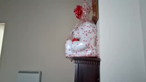 florincar online show from March 5, 2:02 pm