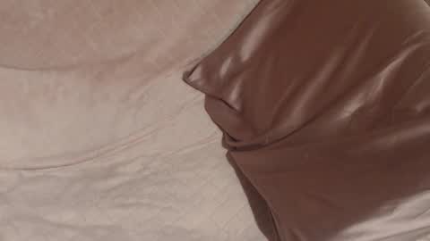 say meow and send tip  online show from December 21, 9:38 am