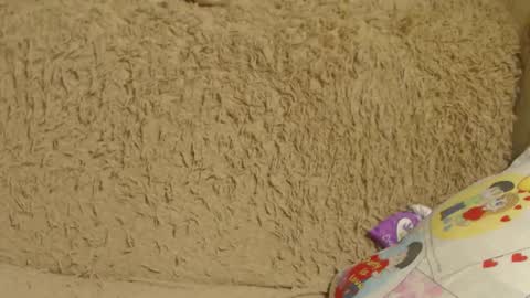 Snapshot of flowercandydoll13 chatting on December 26, 1:07 am say meow and send tip  online show from December 26, 1:07 am