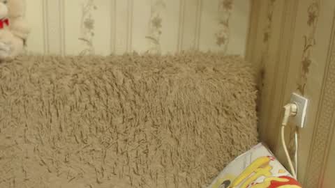 Snapshot of flowercandydoll13 chatting on January 17, 9:39 am say meow and send tip  online show from January 17, 9:39 am